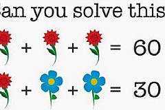 Une équation avec des fleurs rend la toile complètement folle